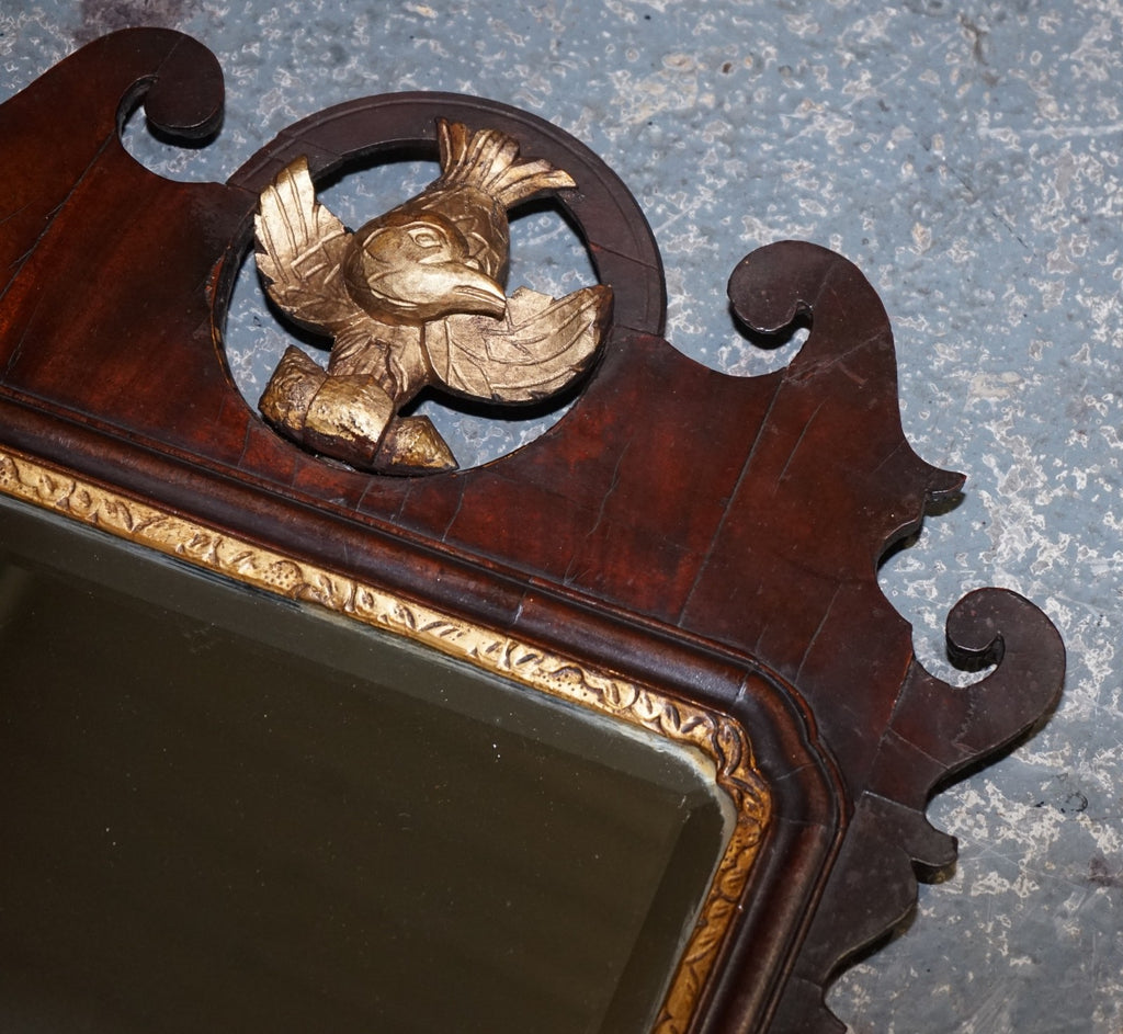 ANTIQUE 1760'S CHIPPENDALE STYLE  WALL MIRROR WITH GILTWOOD & PHOENIX
