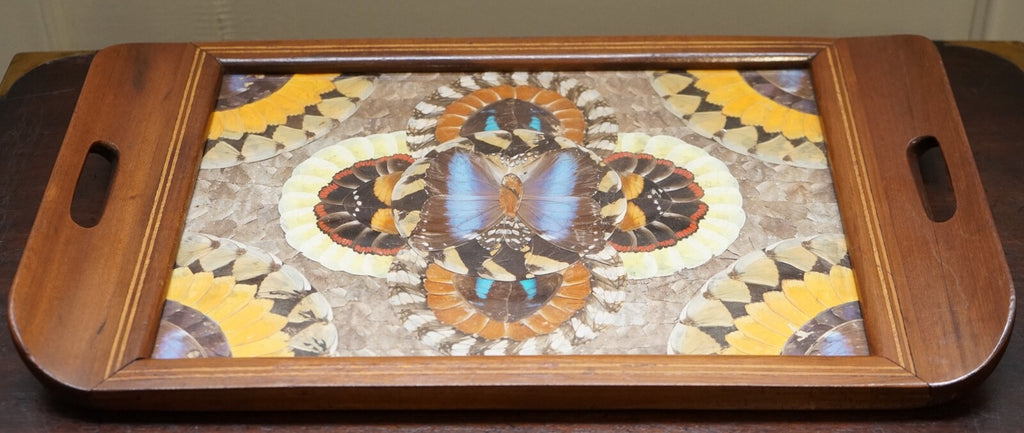 VINTAGE BRAZILIAN INLAID WOOD TRAY WITH REAL MORPHO BUTTERFLY WINGS