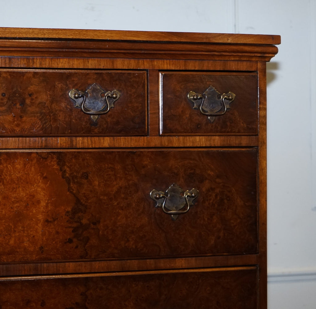 ANTIQUE GEORGIAN STYLE BURR WALNUT CHEST ON STAND WITH QUEEN ANNE LEGS