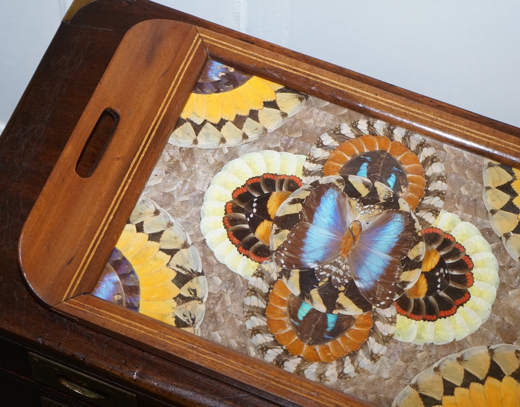 VINTAGE BRAZILIAN INLAID WOOD TRAY WITH REAL MORPHO BUTTERFLY WINGS