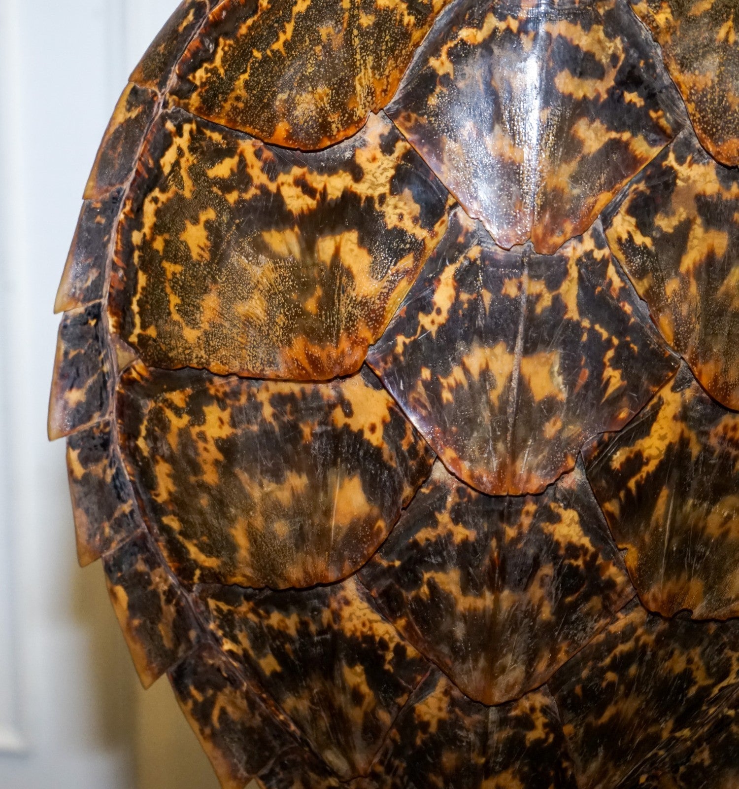 CIRCA 1960'S RARE TURTLE TORTOISE TABLE LAMP ON ART DECO STYLE STAND