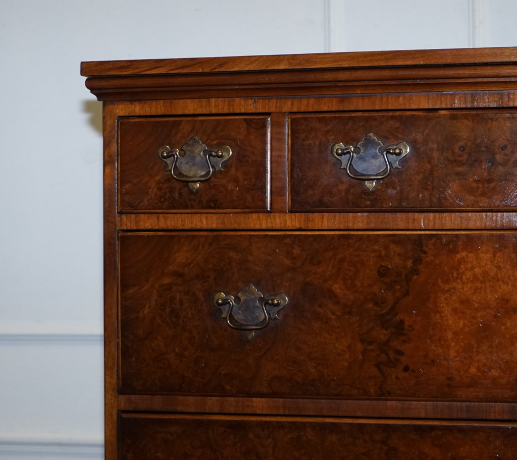 ANTIQUE GEORGIAN STYLE BURR WALNUT CHEST ON STAND WITH QUEEN ANNE LEGS