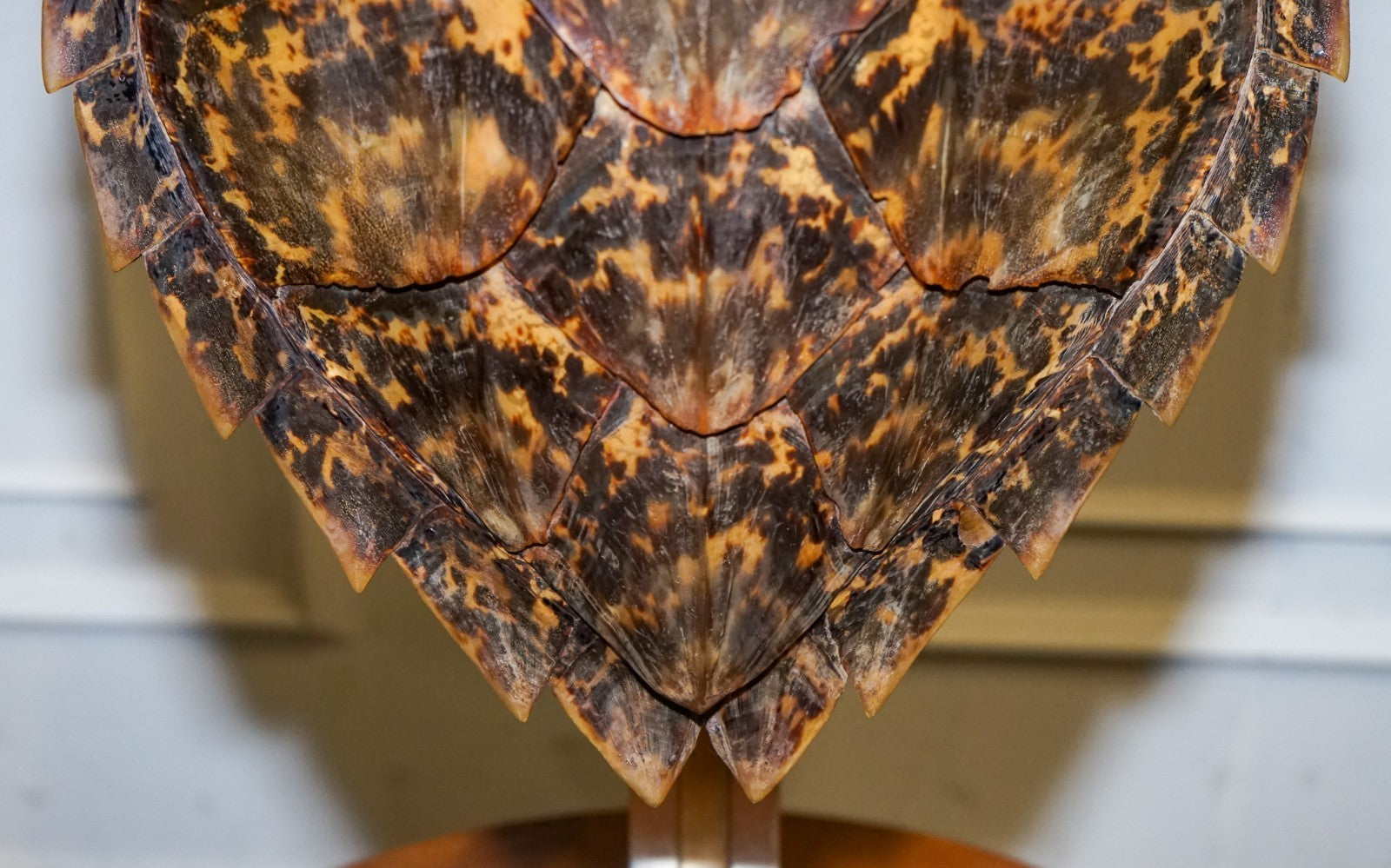 CIRCA 1960'S RARE TURTLE TORTOISE TABLE LAMP ON ART DECO STYLE STAND