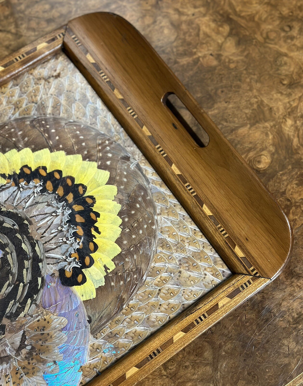 1940'S BRAZILIAN INLAID WOOD TRAY WITH REAL MORPHO BUTTERFLY WINGS
