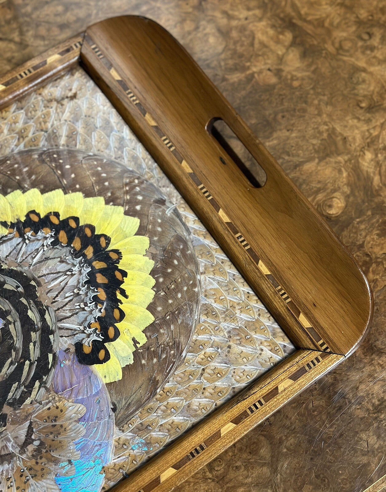 1940'S BRAZILIAN INLAID WOOD TRAY WITH REAL MORPHO BUTTERFLY WINGS