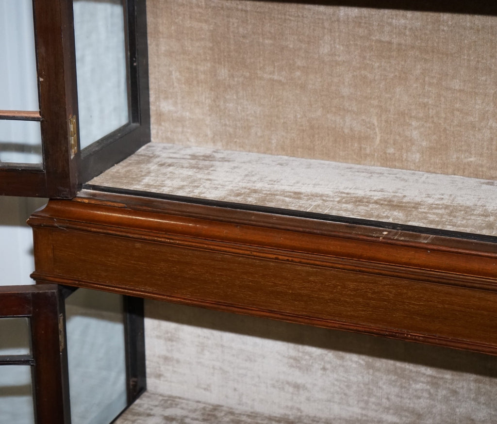 ENGLISH 19TH CENTRY GLAZED DISPLAY CURIO CABINET WITH FIXED SHELVES