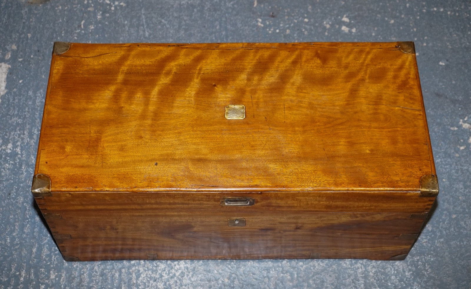 19TH CENTURY ENGLISH ANTIQUE FULLY RESTORED CAMPHOR WOOD CHEST STORAGE TRUNK