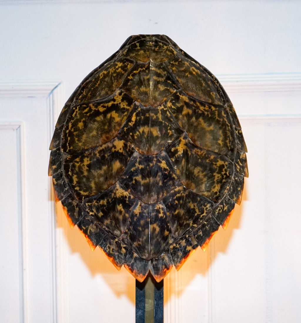CIRCA 1960'S RARE TURTLE TORTOISE TABLE LAMP ON ART DECO STYLE STAND
