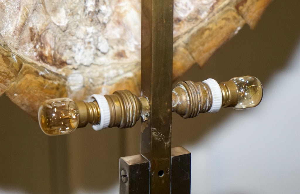 CIRCA 1960'S RARE TURTLE TORTOISE TABLE LAMP ON ART DECO STYLE STAND