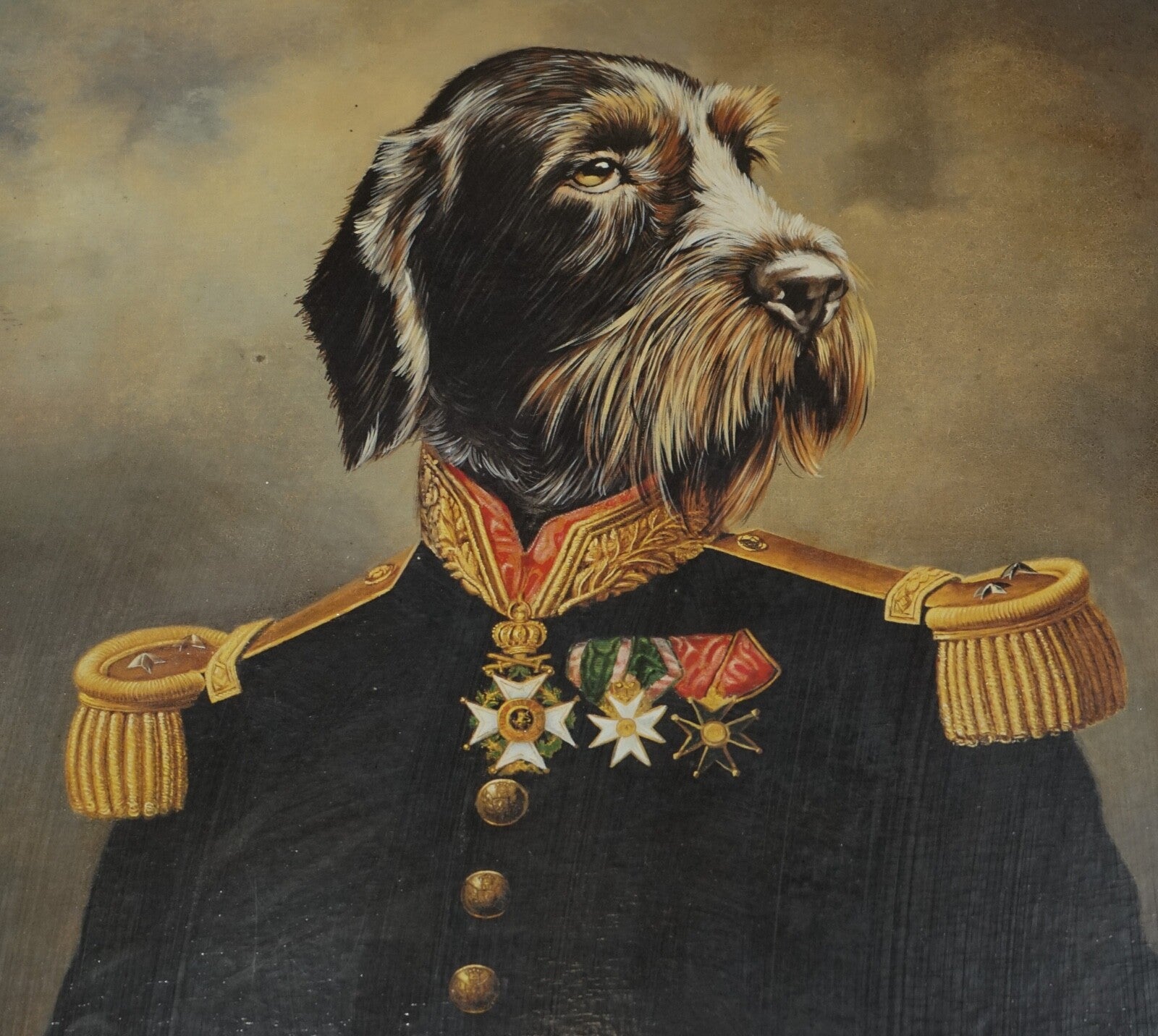 CEREMONIAL DRESS THIERRY PONCELET FRAMED ART PRINT BLACK AND GOLD FRAME