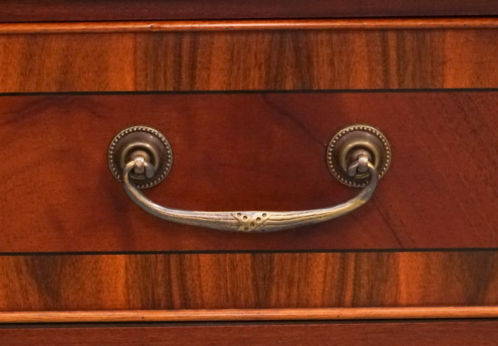 PAIR OF LARGE EDWARDIAN STYLE CHEST OF DRAWERS MADE BY PAUL SMITH BRIGHTON (3/3)