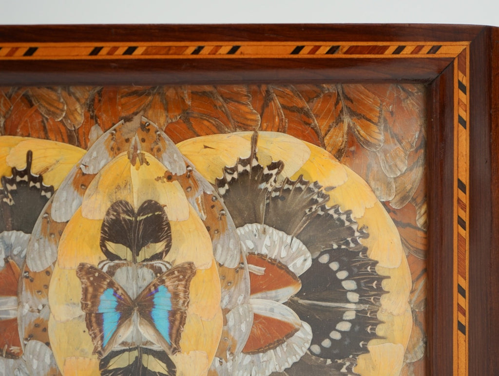 RARE VINTAGE MORPHO BUTTERFLY TRAY HANDMADE BY A DEVIL'S ISLAND PRISONER 1940's