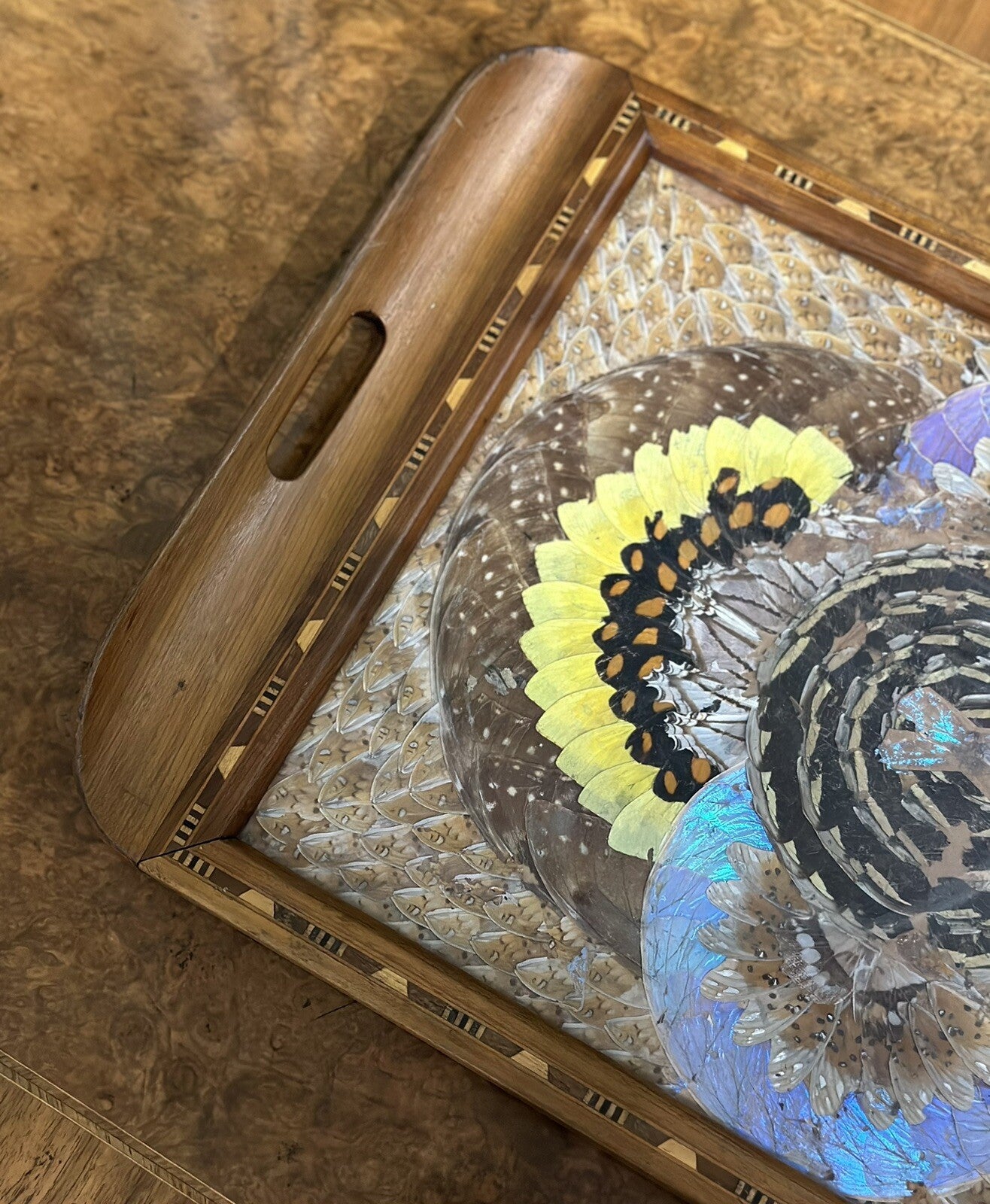 1940'S BRAZILIAN INLAID WOOD TRAY WITH REAL MORPHO BUTTERFLY WINGS
