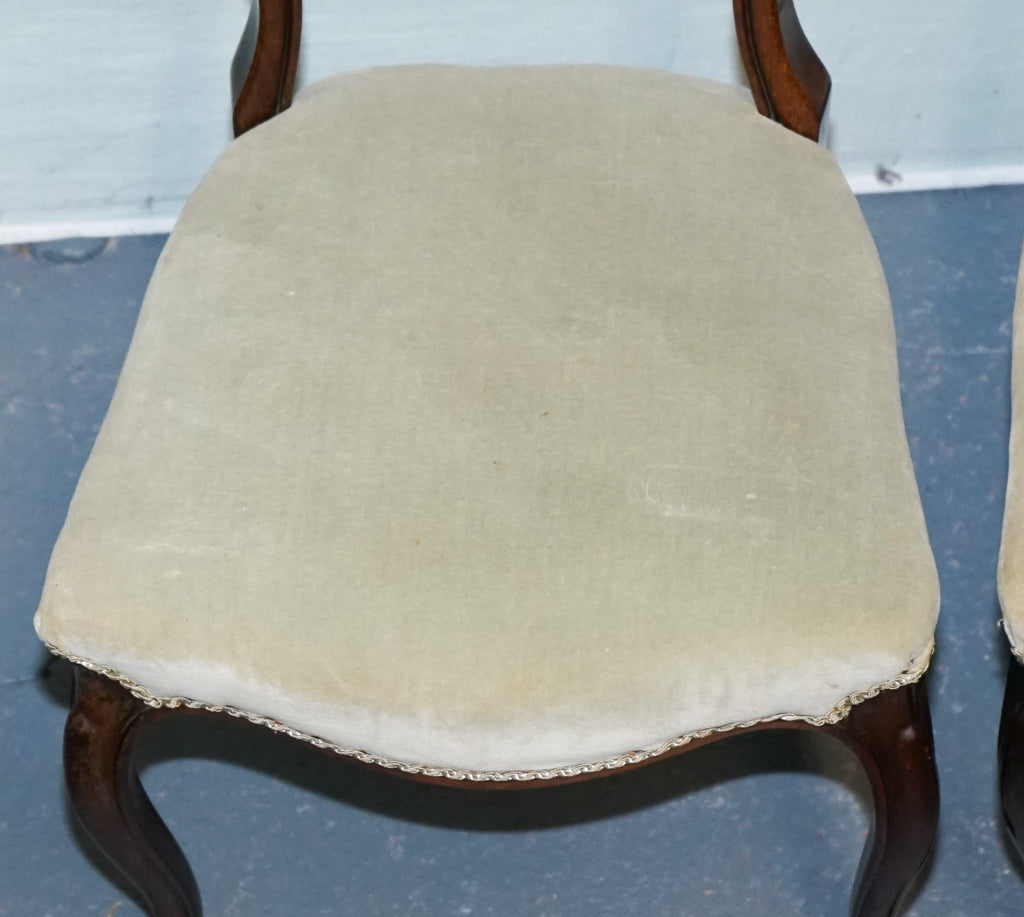 SET OF SIX CIRCA 1860 VICTORIAN BALLOON BACK DINNING CHAIRS