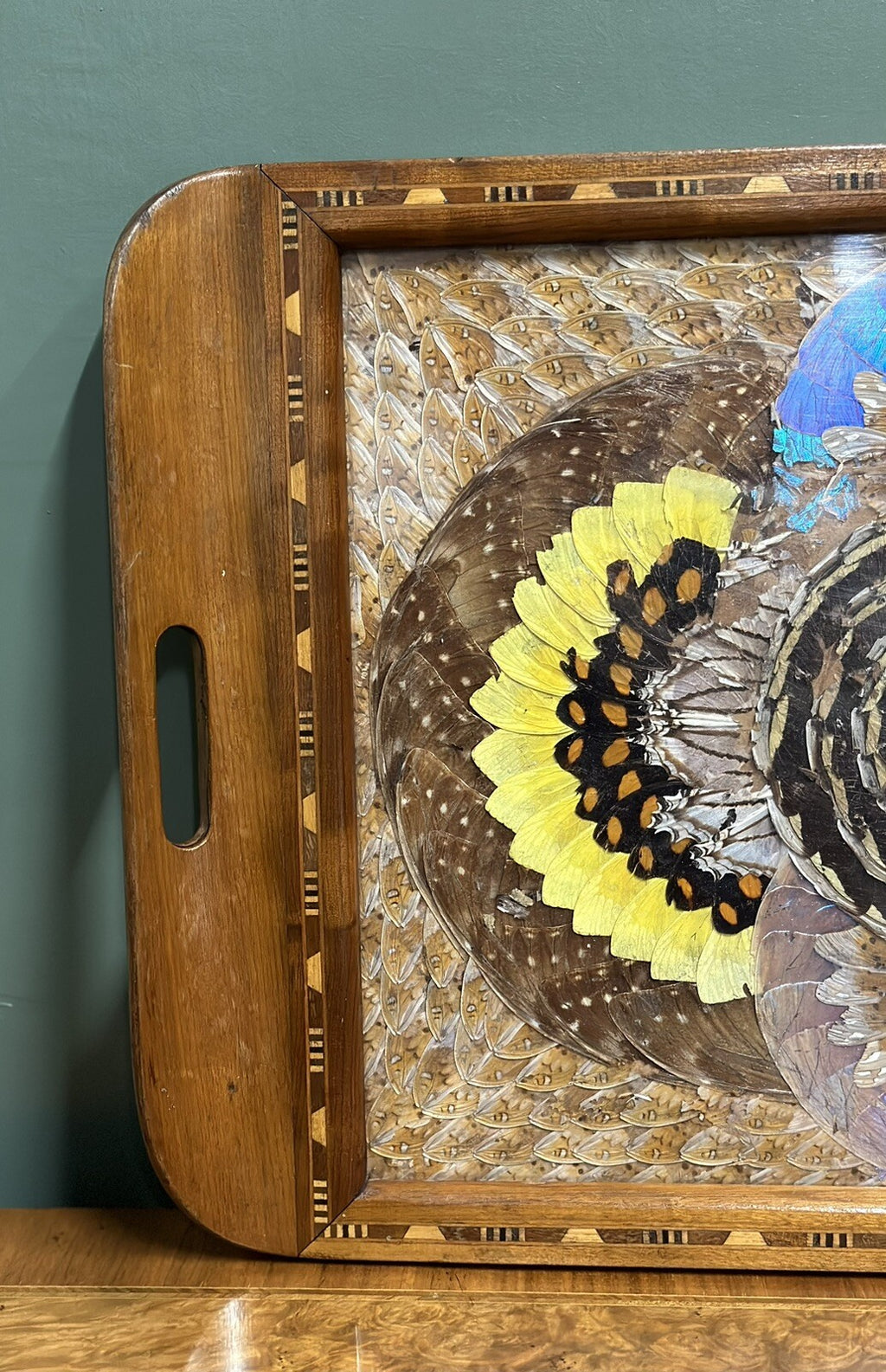 1940'S BRAZILIAN INLAID WOOD TRAY WITH REAL MORPHO BUTTERFLY WINGS