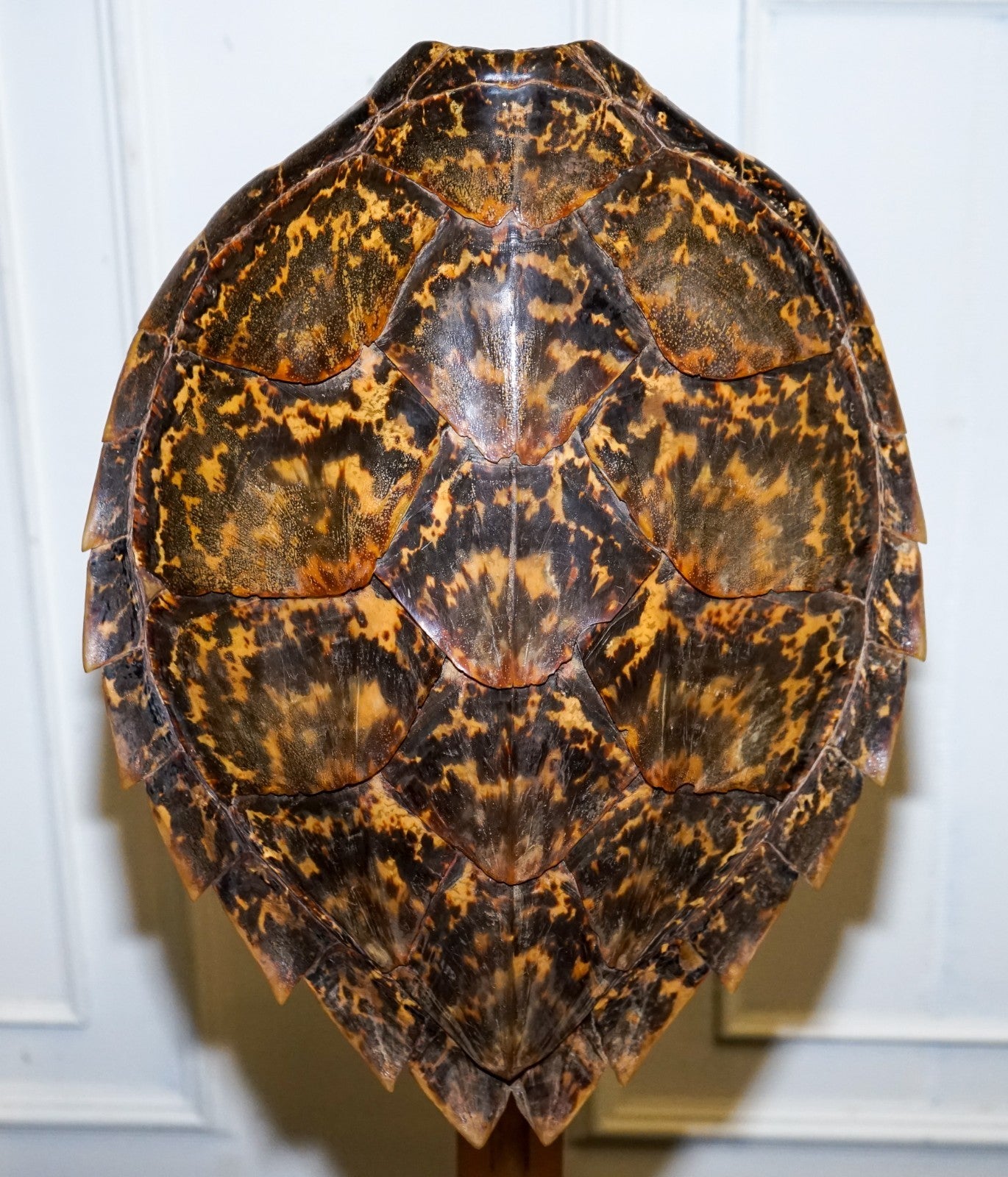 CIRCA 1960'S RARE TURTLE TORTOISE TABLE LAMP ON ART DECO STYLE STAND