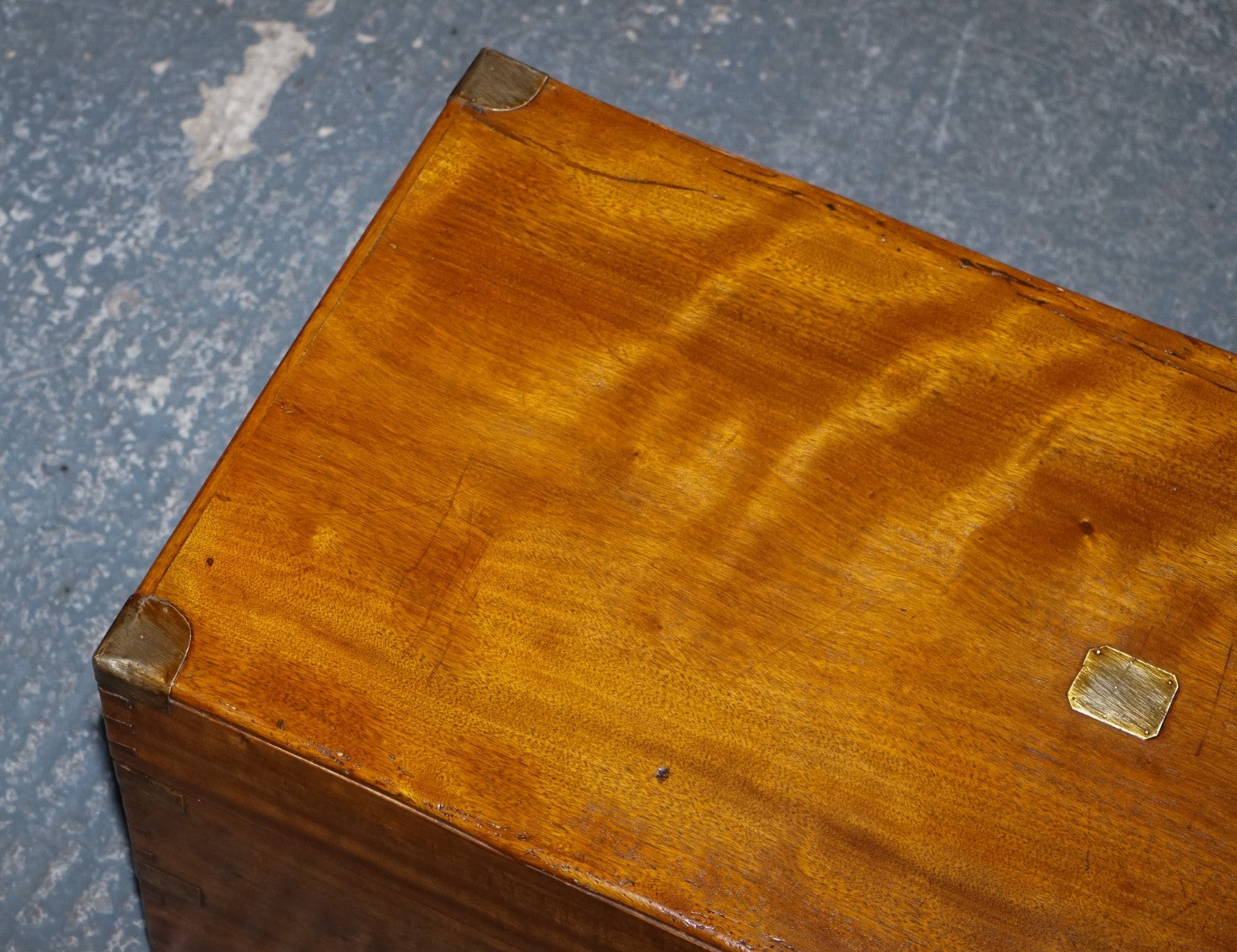 19TH CENTURY ENGLISH ANTIQUE FULLY RESTORED CAMPHOR WOOD CHEST STORAGE TRUNK