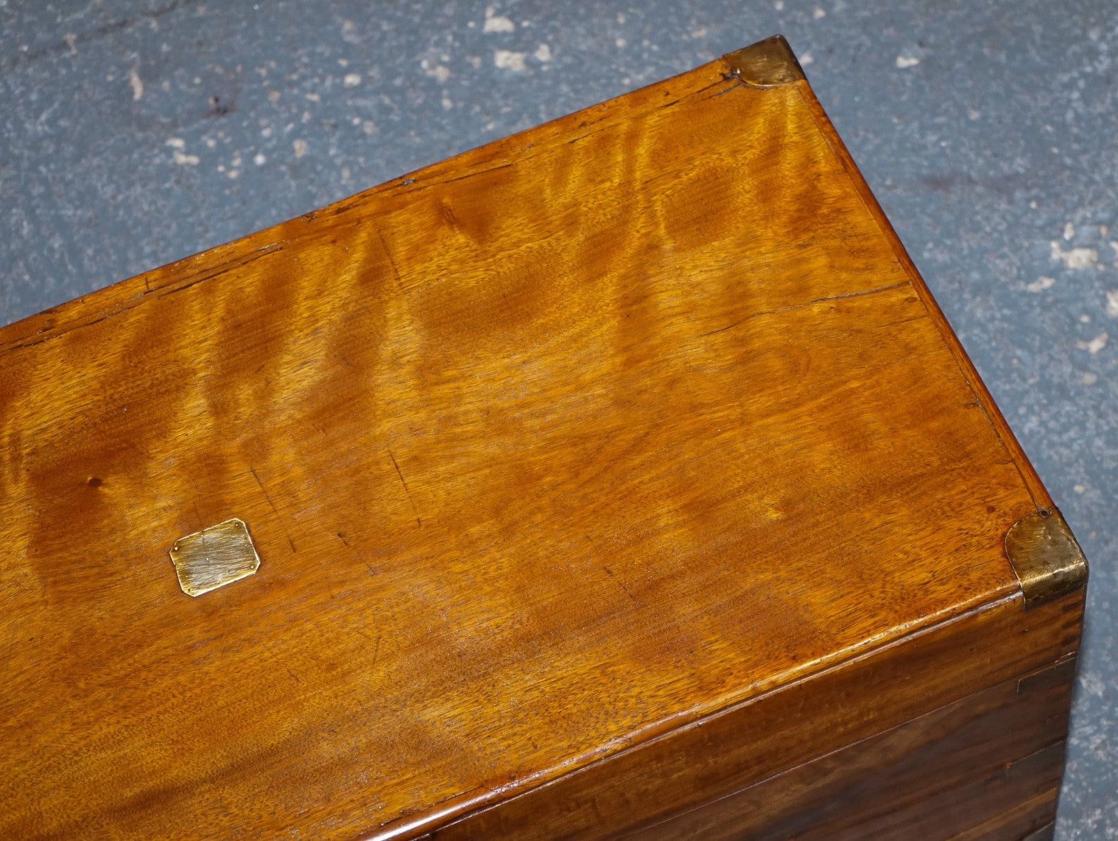19TH CENTURY ENGLISH ANTIQUE FULLY RESTORED CAMPHOR WOOD CHEST STORAGE TRUNK