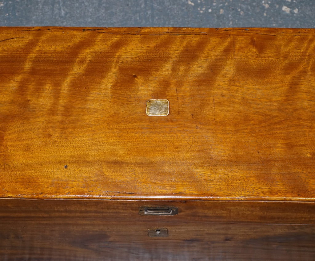 19TH CENTURY ENGLISH ANTIQUE FULLY RESTORED CAMPHOR WOOD CHEST STORAGE TRUNK