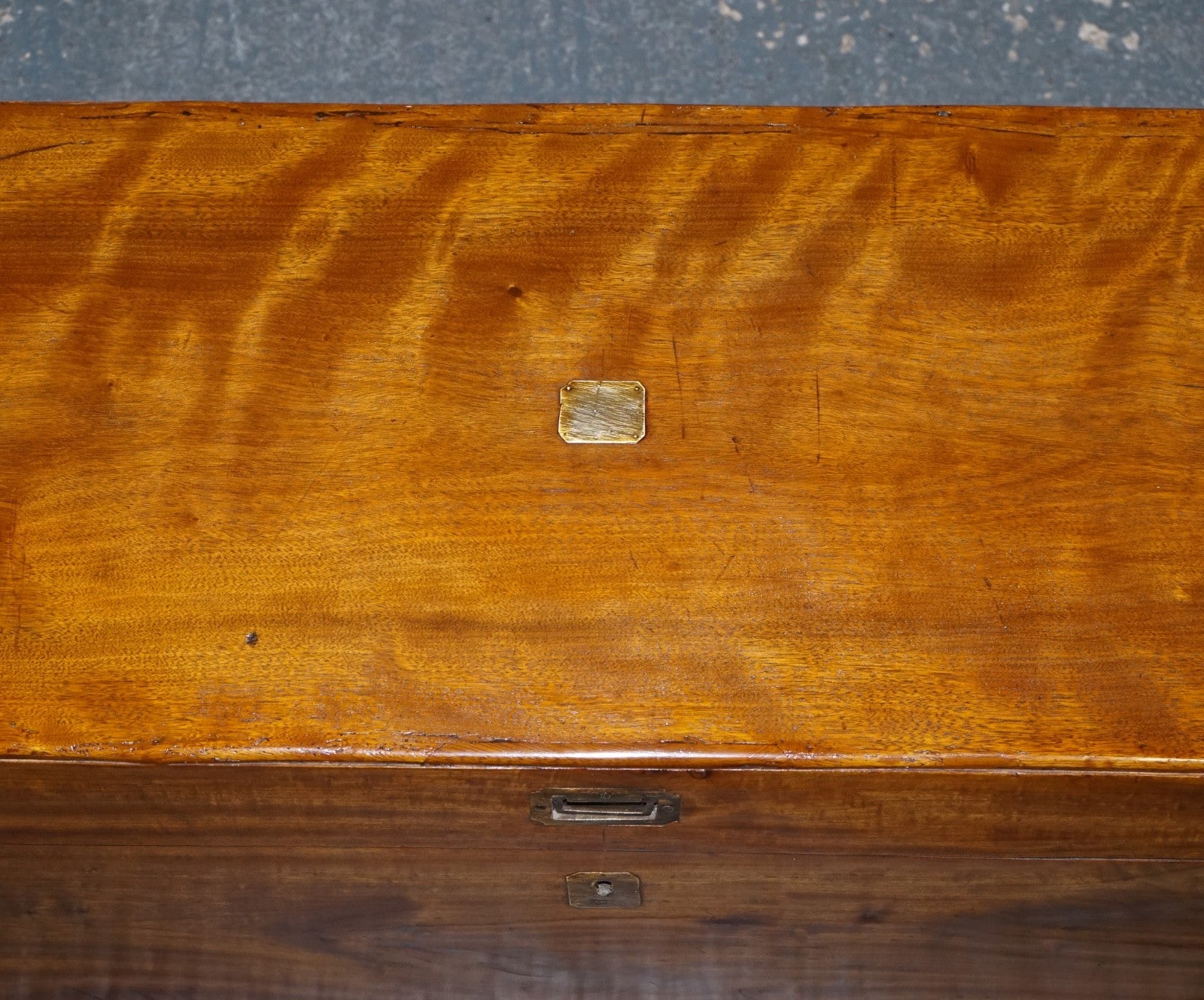 19TH CENTURY ENGLISH ANTIQUE FULLY RESTORED CAMPHOR WOOD CHEST STORAGE TRUNK