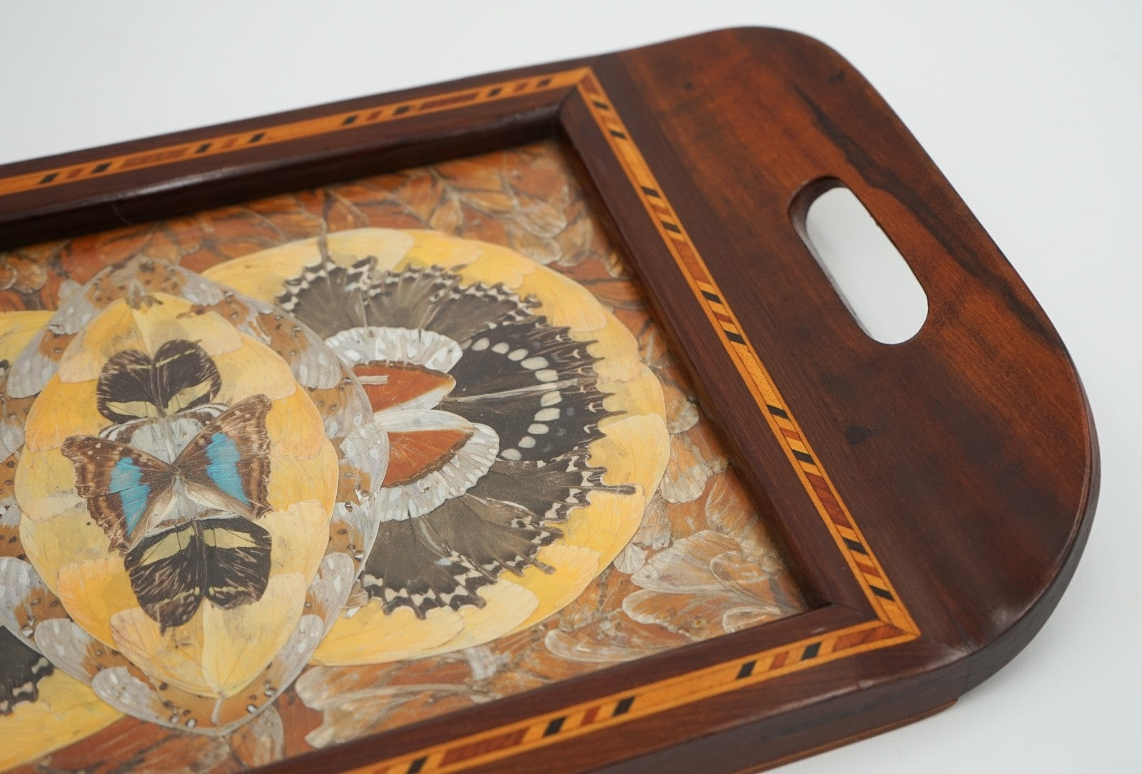 RARE VINTAGE MORPHO BUTTERFLY TRAY HANDMADE BY A DEVIL'S ISLAND PRISONER 1940's