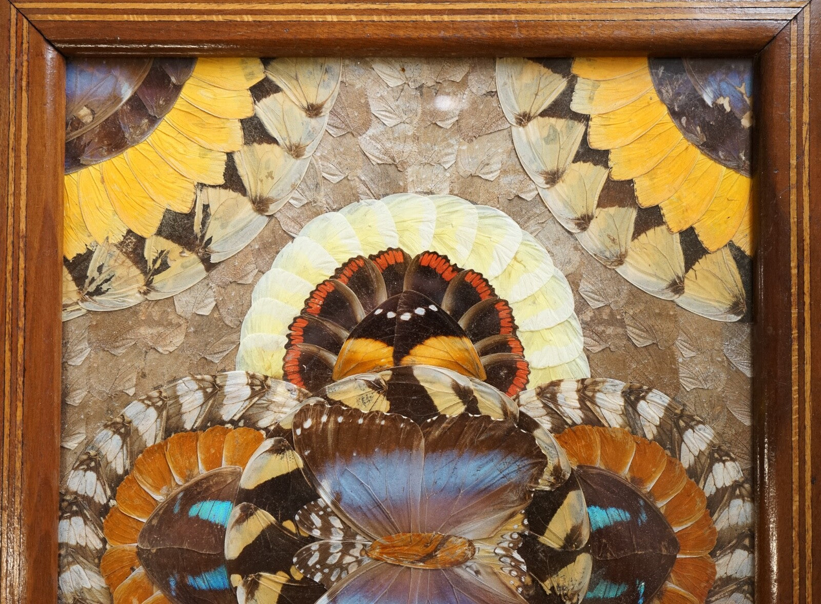 VINTAGE BRAZILIAN INLAID WOOD TRAY WITH REAL MORPHO BUTTERFLY WINGS