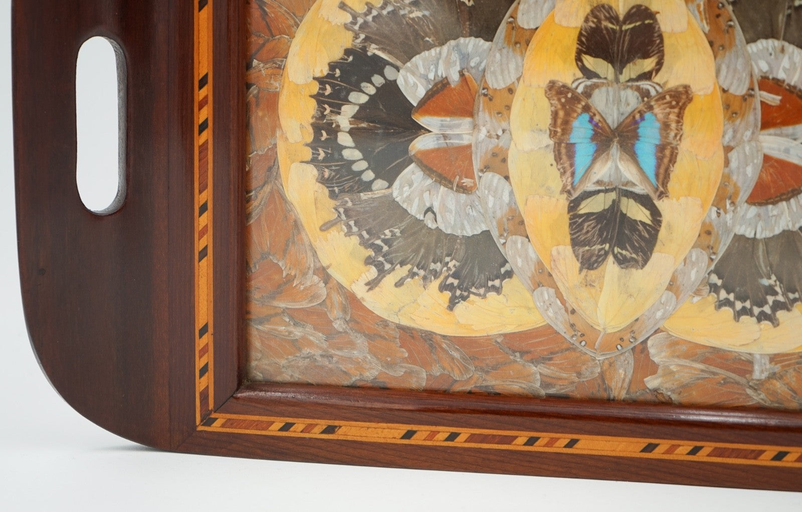 RARE VINTAGE MORPHO BUTTERFLY TRAY HANDMADE BY A DEVIL'S ISLAND PRISONER 1940's
