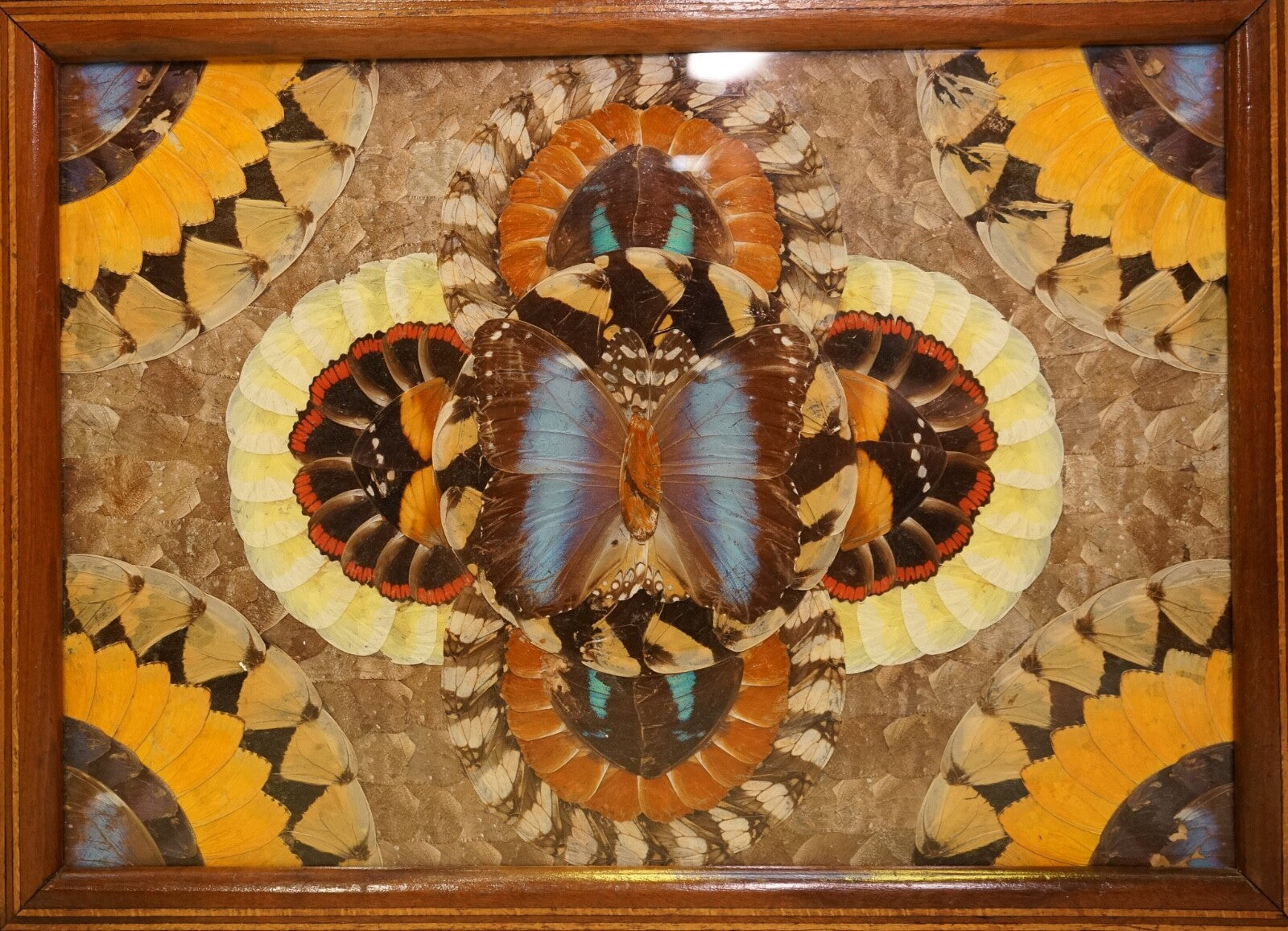VINTAGE BRAZILIAN INLAID WOOD TRAY WITH REAL MORPHO BUTTERFLY WINGS