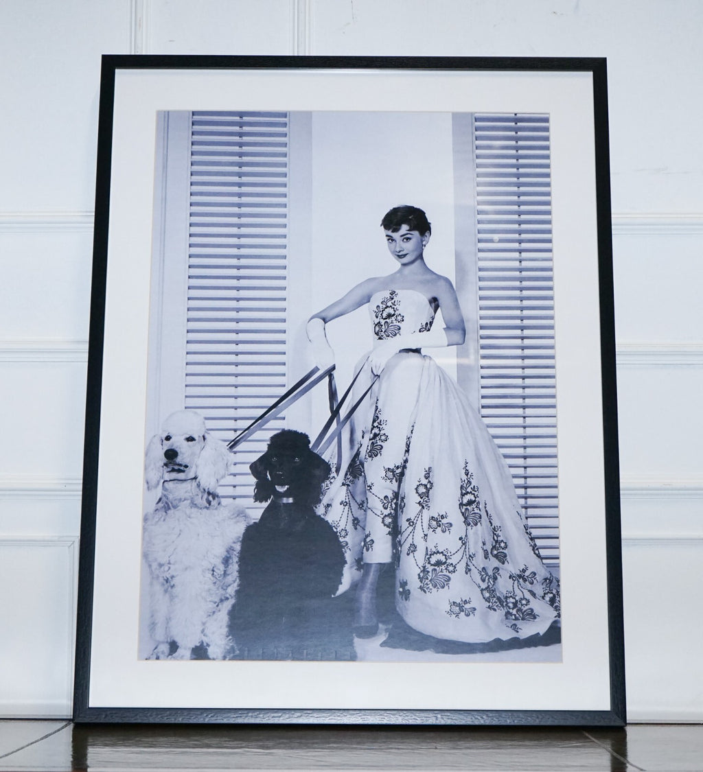 FRAMED PRINT OF AUDREY HEPBURN IN THE SiLK ORGANDY BALL GOWN
