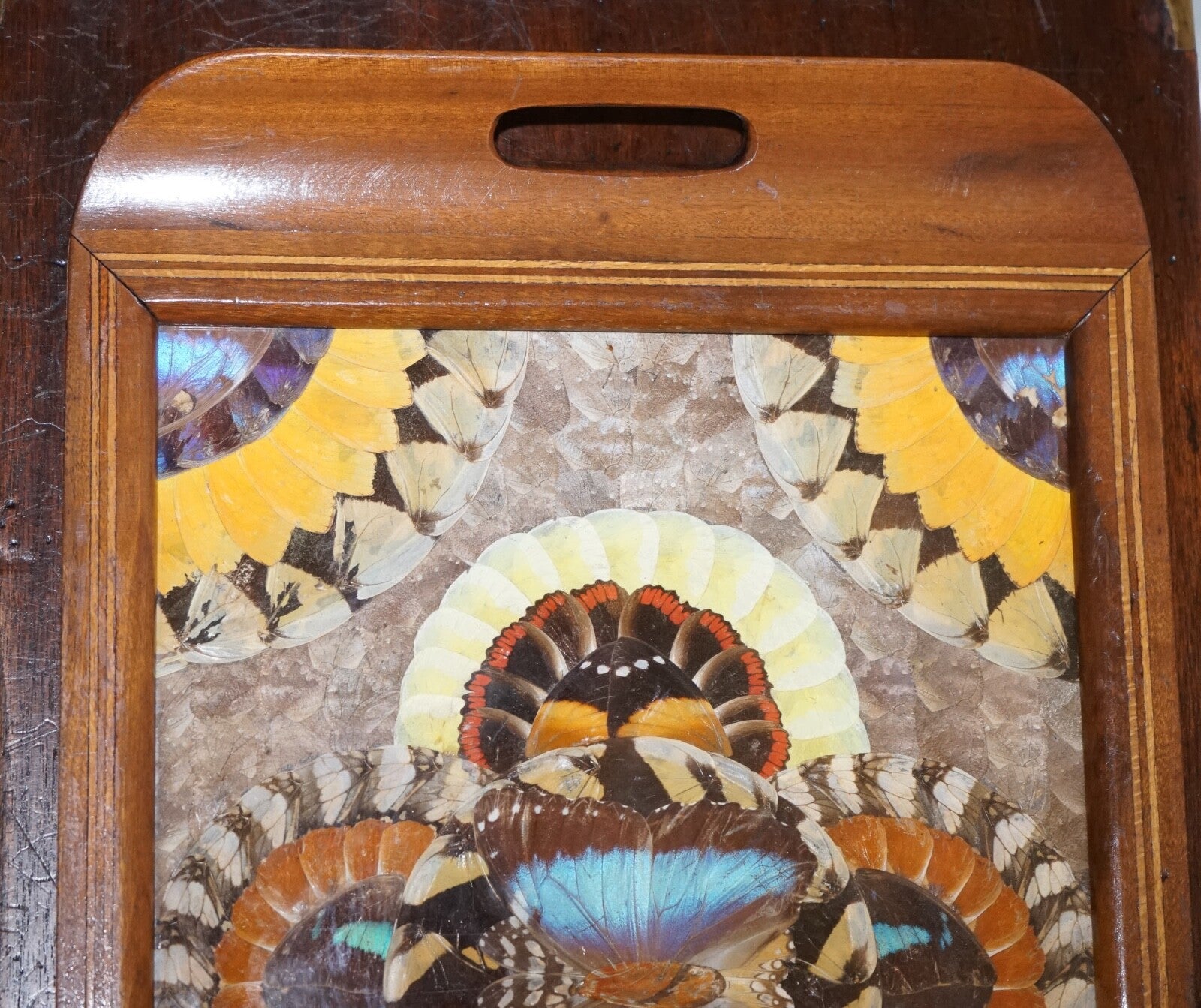 VINTAGE BRAZILIAN INLAID WOOD TRAY WITH REAL MORPHO BUTTERFLY WINGS