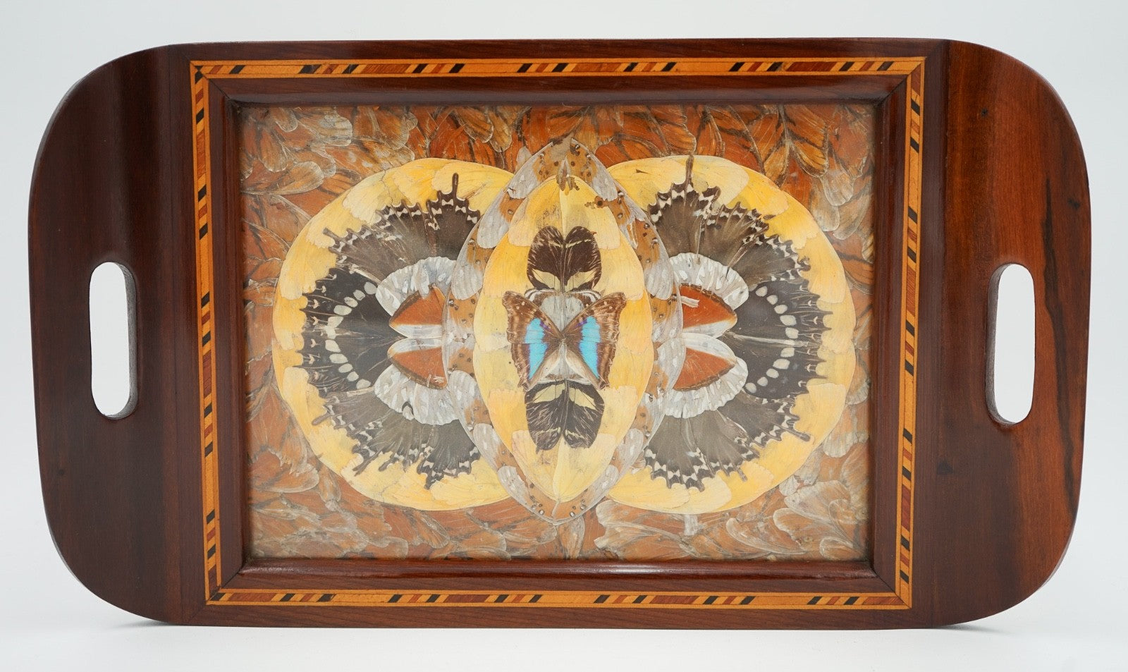 RARE VINTAGE MORPHO BUTTERFLY TRAY HANDMADE BY A DEVIL'S ISLAND PRISONER 1940's
