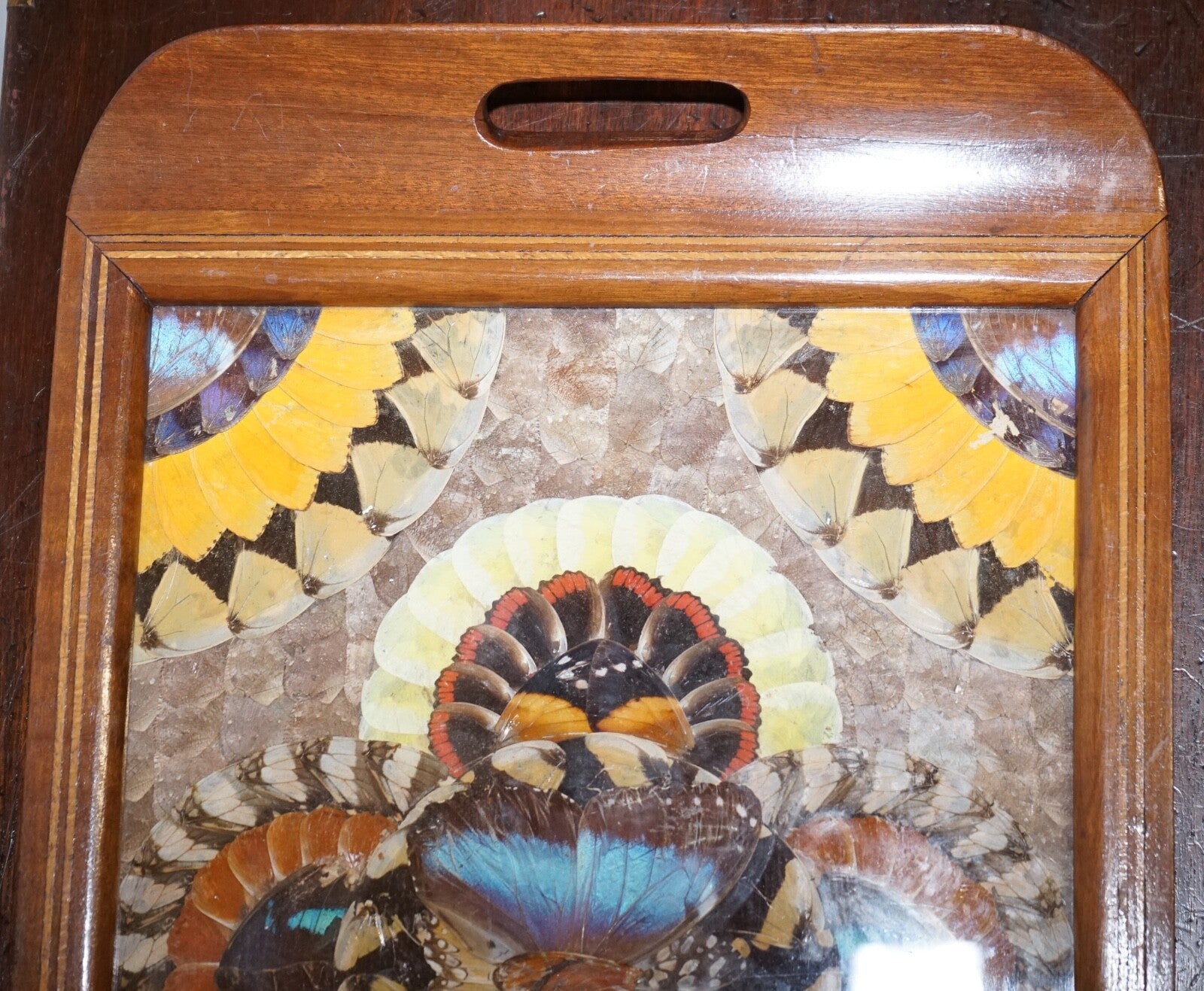 VINTAGE BRAZILIAN INLAID WOOD TRAY WITH REAL MORPHO BUTTERFLY WINGS