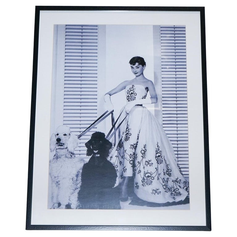 FRAMED PRINT OF AUDREY HEPBURN IN THE SiLK ORGANDY BALL GOWN