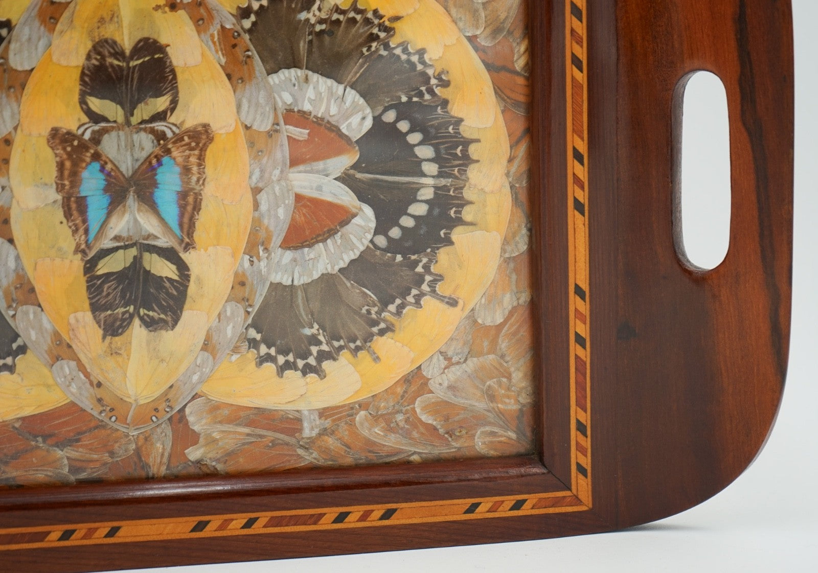 RARE VINTAGE MORPHO BUTTERFLY TRAY HANDMADE BY A DEVIL'S ISLAND PRISONER 1940's