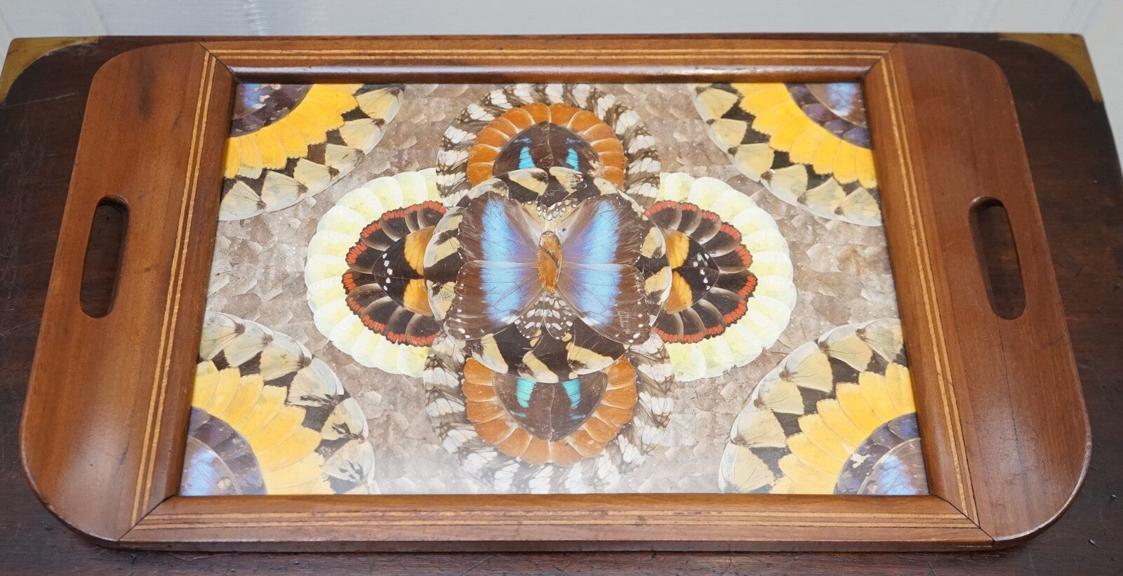 VINTAGE BRAZILIAN INLAID WOOD TRAY WITH REAL MORPHO BUTTERFLY WINGS