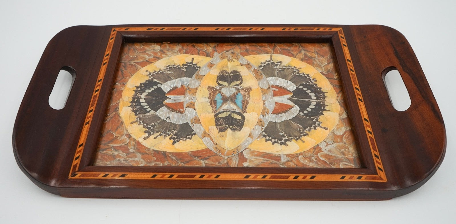 RARE VINTAGE MORPHO BUTTERFLY TRAY HANDMADE BY A DEVIL'S ISLAND PRISONER 1940's