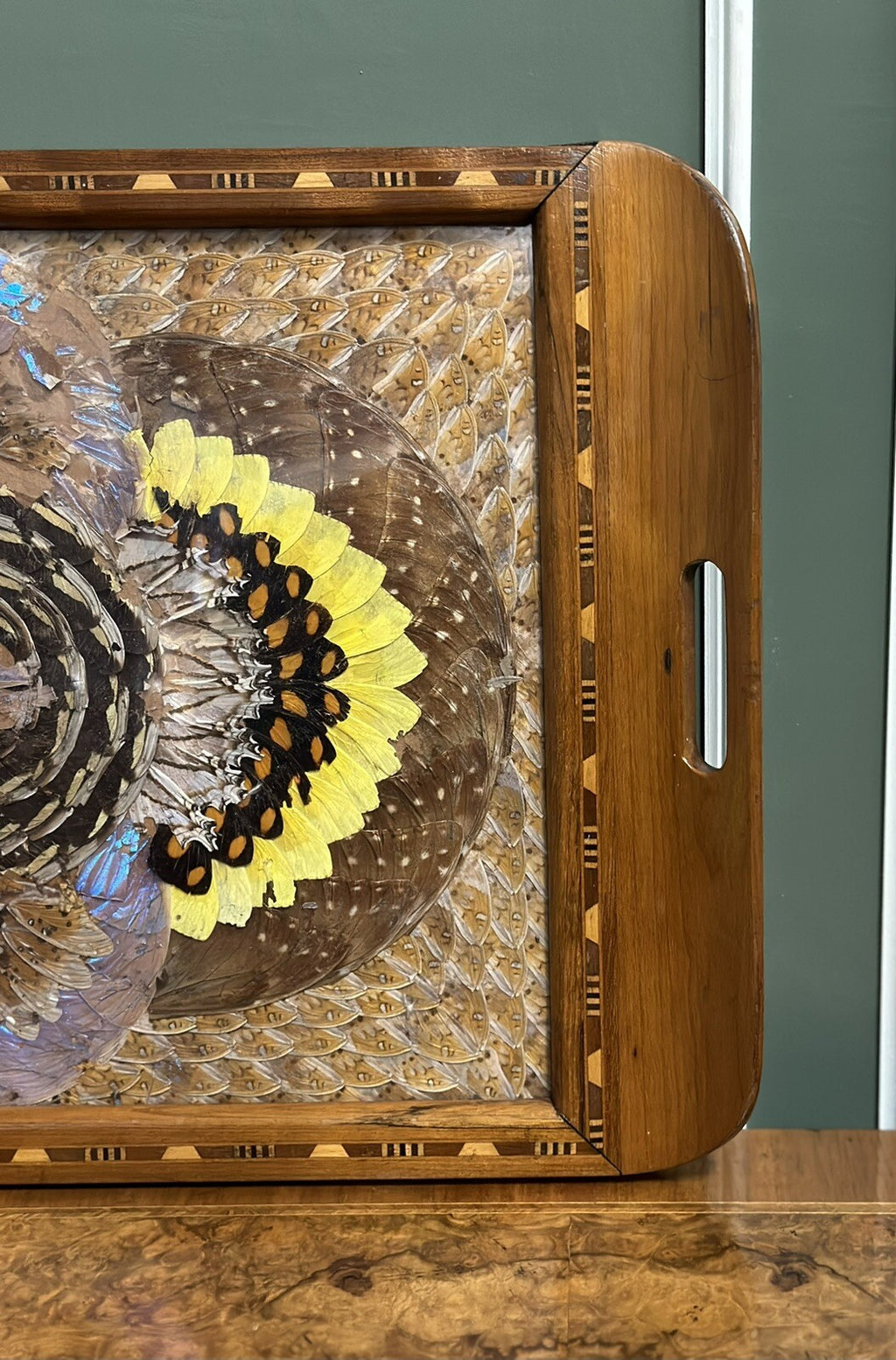 1940'S BRAZILIAN INLAID WOOD TRAY WITH REAL MORPHO BUTTERFLY WINGS