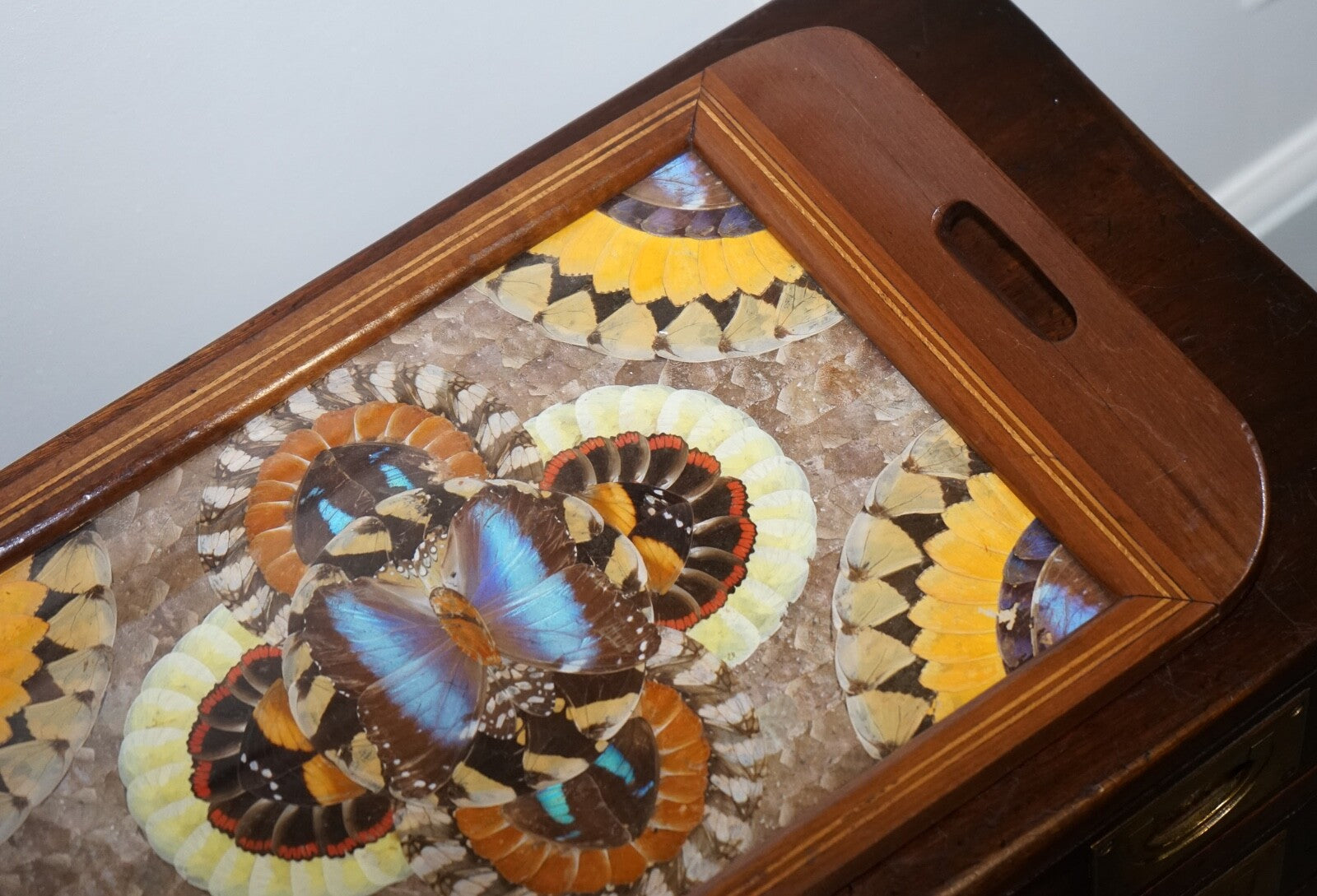 VINTAGE BRAZILIAN INLAID WOOD TRAY WITH REAL MORPHO BUTTERFLY WINGS