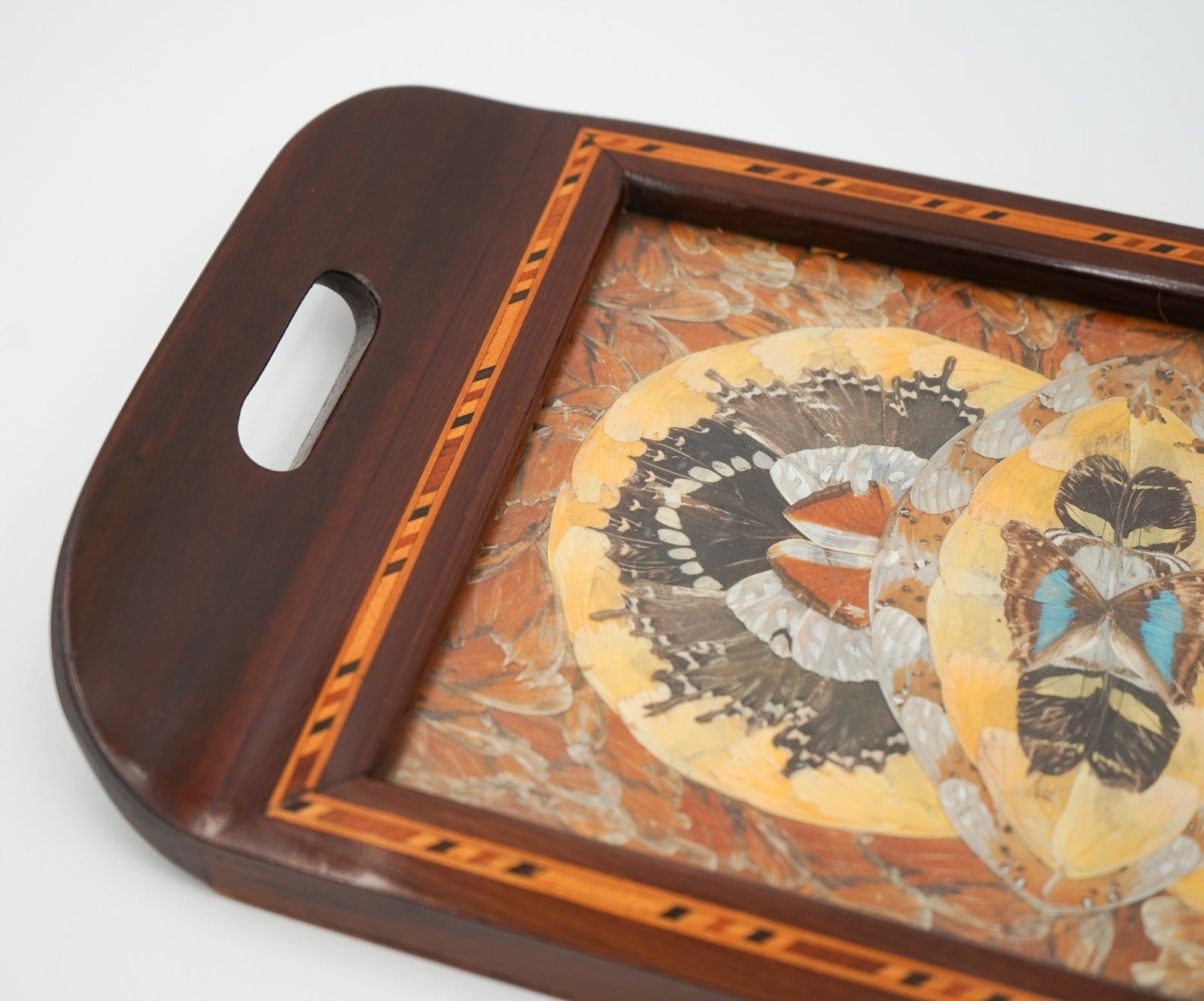 RARE VINTAGE MORPHO BUTTERFLY TRAY HANDMADE BY A DEVIL'S ISLAND PRISONER 1940's