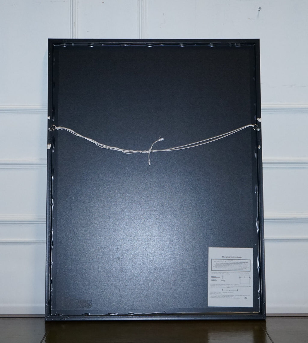 FRAMED PRINT OF AUDREY HEPBURN IN THE SiLK ORGANDY BALL GOWN