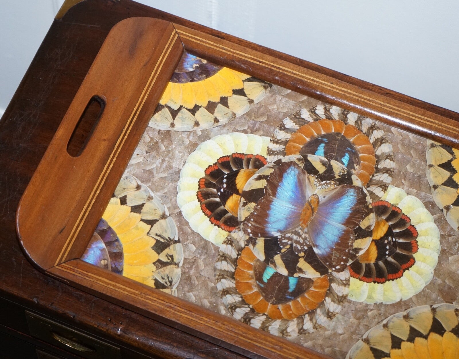 VINTAGE BRAZILIAN INLAID WOOD TRAY WITH REAL MORPHO BUTTERFLY WINGS