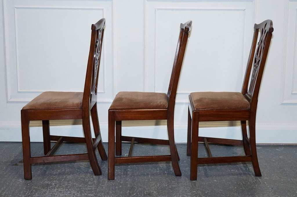 LOVELY CHIPPENDALE STYLE SET OF 6 DINING CHAIRS H FRAME