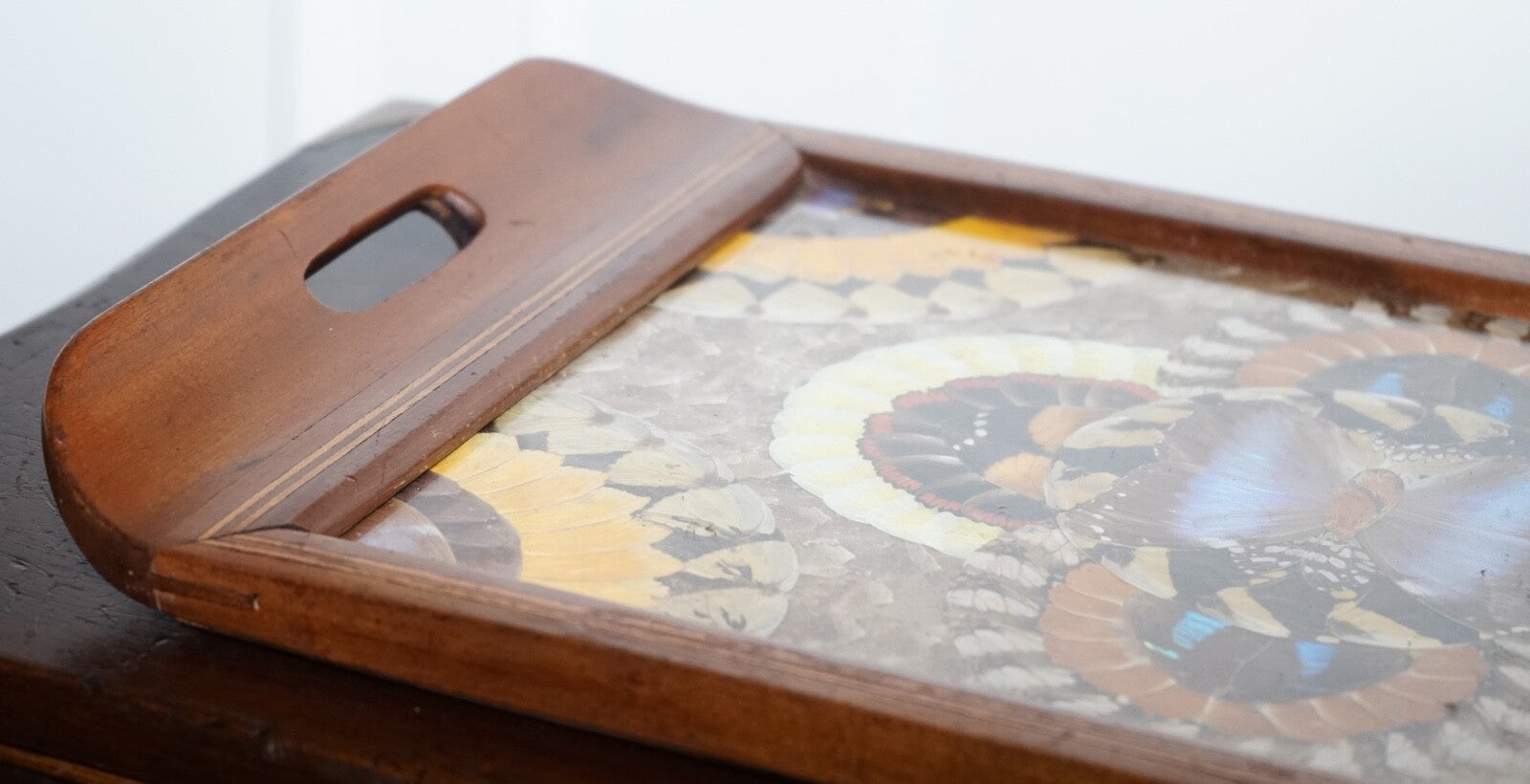 VINTAGE BRAZILIAN INLAID WOOD TRAY WITH REAL MORPHO BUTTERFLY WINGS